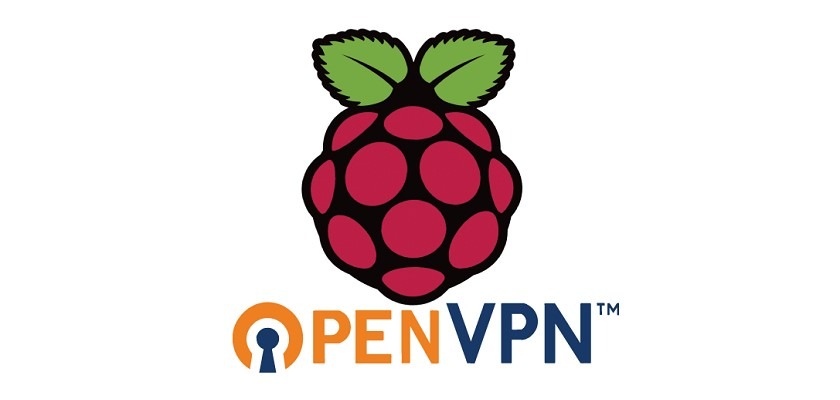 OpenVPN client su Raspberry Pi OpenVPN client su Raspberry Pi