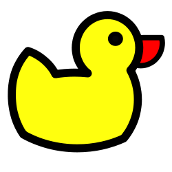 Come configurare DuckDNS su  Raspberry Pi