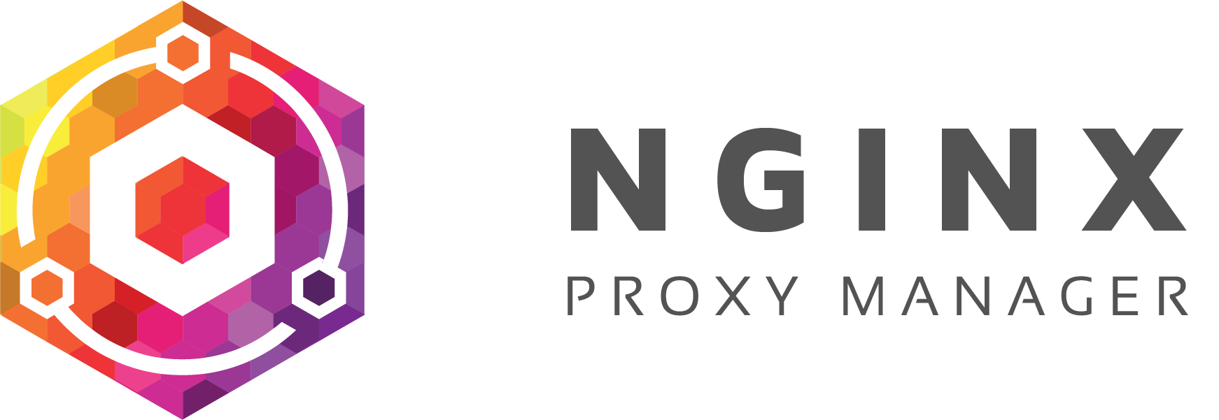 Installazione di NGINX Proxy Manager su Raspberry Pi come container in Docker Installazione di NGINX Proxy Manager su Raspberry Pi come container in Docker